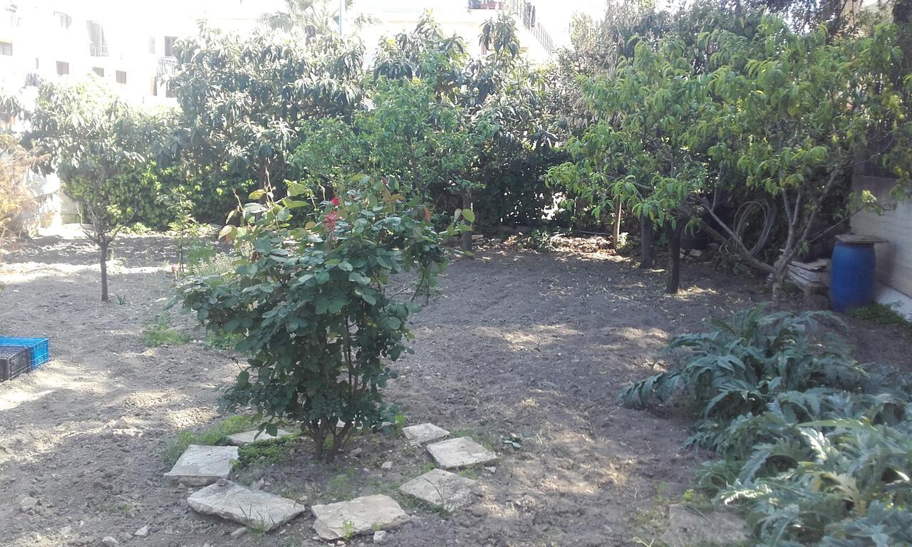 B&B La Palma Ruvo di Puglia Luaran gambar